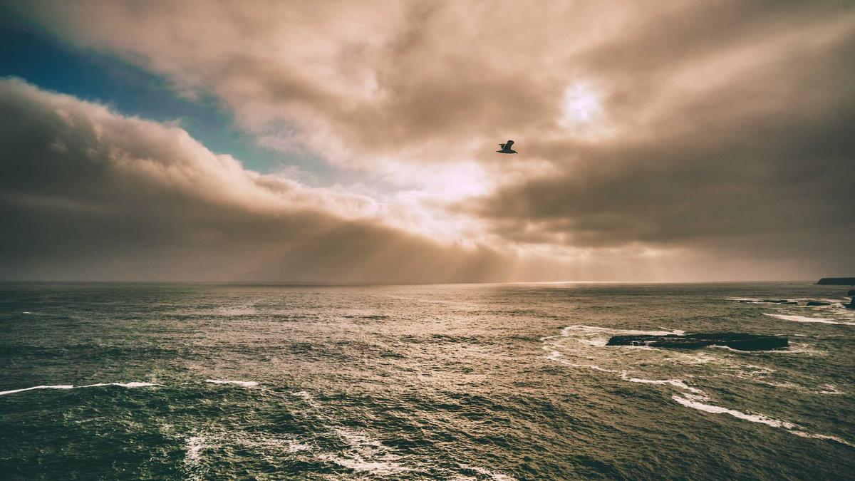 2025'in Trend Kartvizit Modelleri: QR Kodlu ve Varaklı Kartvizitler