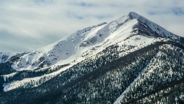Çevre Dostu Kartvizitler: Sürdürülebilir Malzemelerle Markanızı Yansıtın