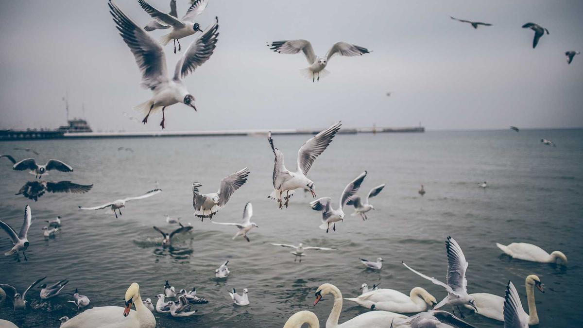 İlk İzlenim Çok Önemli: En Etkili Kartvizit Nasıl Tasarlanır?